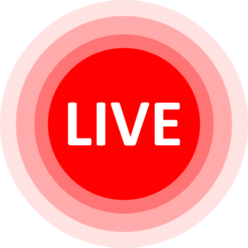 Paypig Com